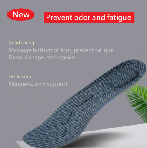 Shoe insole Shoe pad